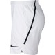 Pánské tenisové šortky Nike Flex Ace 7 white